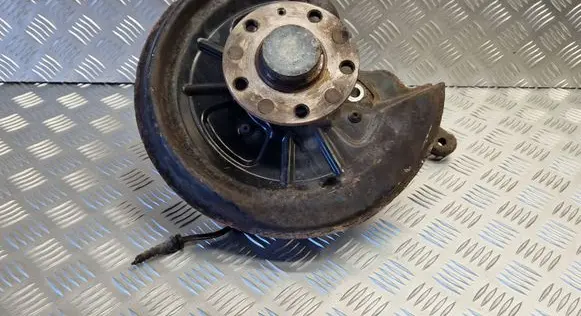 Volkswagen Golf VI Rear wheel hub spindle/knuckle 