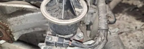 EGR valve