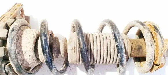 Rear coil spring