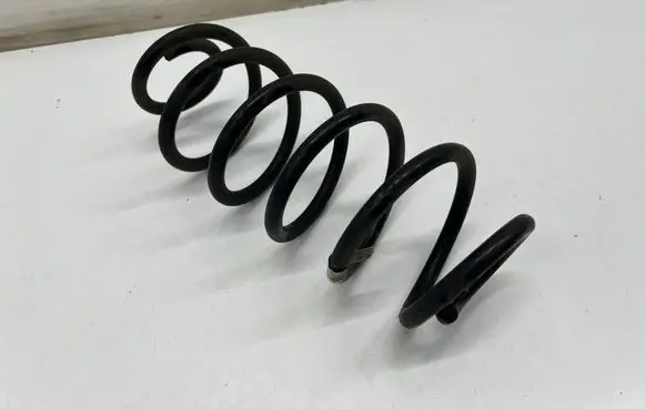 Rear coil spring