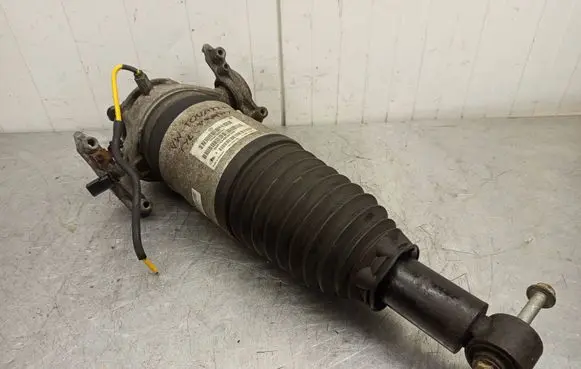 Volkswagen Touareg II Rear shock absorber/damper 7P6616020G 130813060150 15140010924