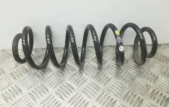 Volkswagen PASSAT B7 Rear coil spring