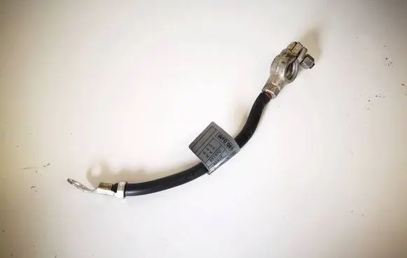 Mercedes-Benz B W245 Positive cable (battery) a1695406409