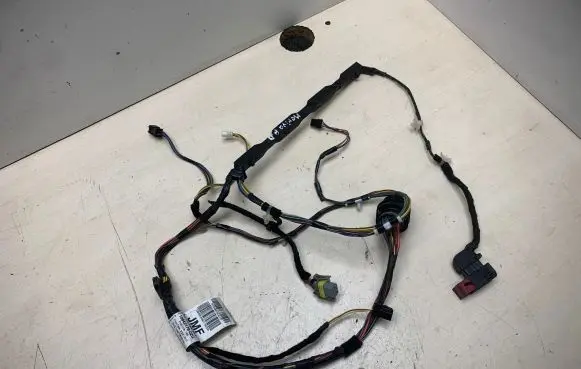Front door wiring loom