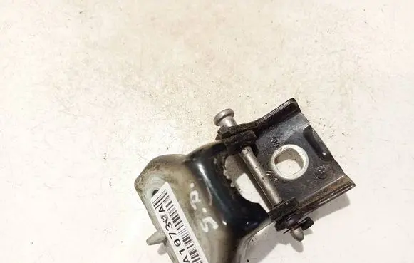 Rear door lower hinge