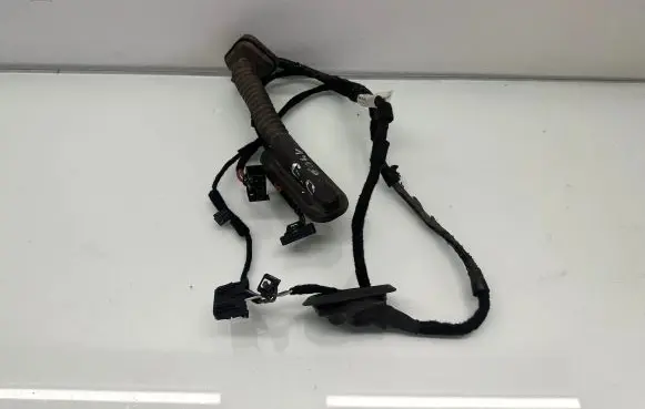 Volkswagen Jetta VI Rear door wiring loom 5C0971694D TAB016298BT 5C0971694
