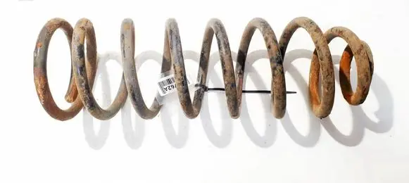 Rear coil spring