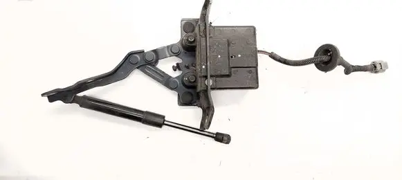 Engine bonnet/hood hinges