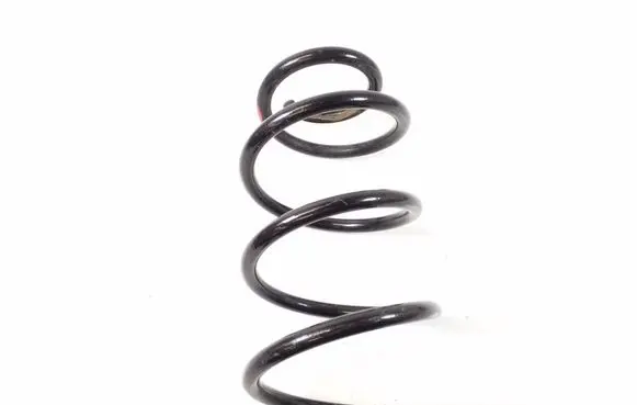 Rear coil spring