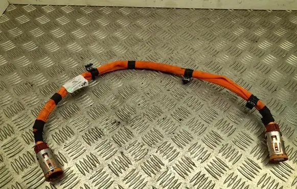 Mercedes-Benz EQE v295 Other wiring loom A2975404416