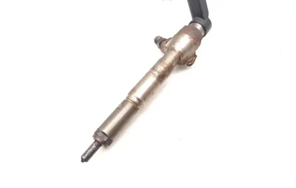 Renault Scenic RX Fuel injector 8200294788 166009445R