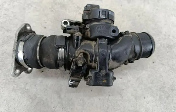 Citroen C3 Picasso Throttle body valve 9660030380