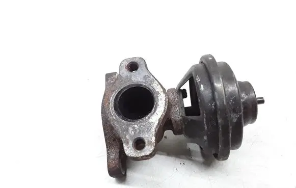 KIA Carens I EGR valve