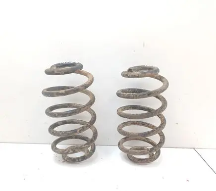 Rear coil spring
