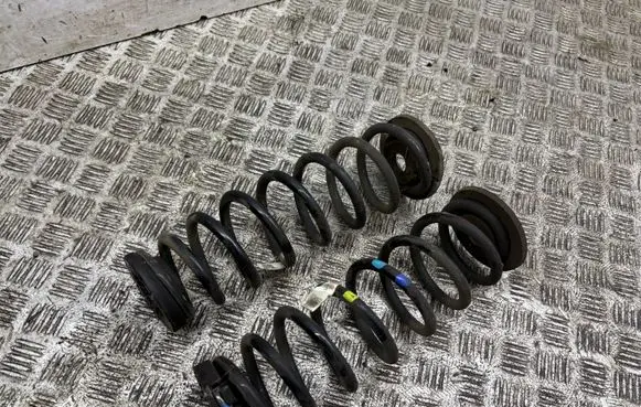 KIA Niro Rear coil spring 55360G5150