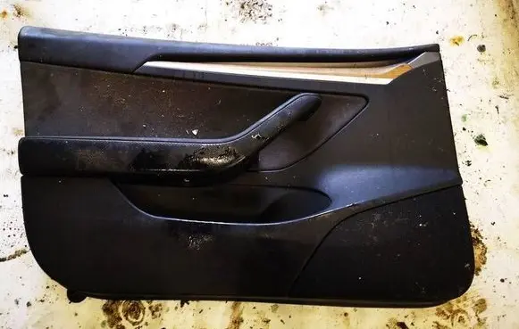 Tesla Model 3 Front door card panel trim 162188902G