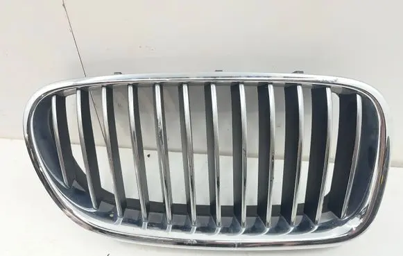 BMW 5 F10 F11 Front bumper upper radiator grill 18801310