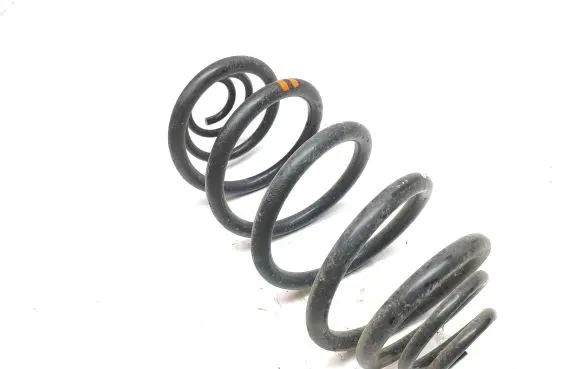 Renault Kangoo II Rear coil spring