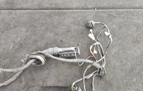 BMW X6 F16 Other wiring loom EPA790010020 E31854A 9364911
