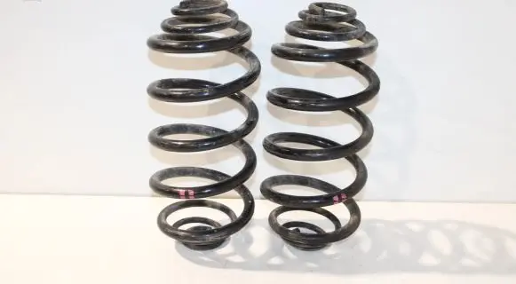 Renault Kangoo II Rear coil spring