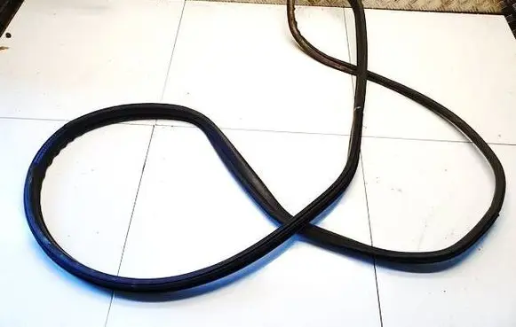 BMW i3 Rubber seal front coupe door 