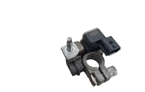 Renault Clio IV Negative earth cable (battery) 250825784R