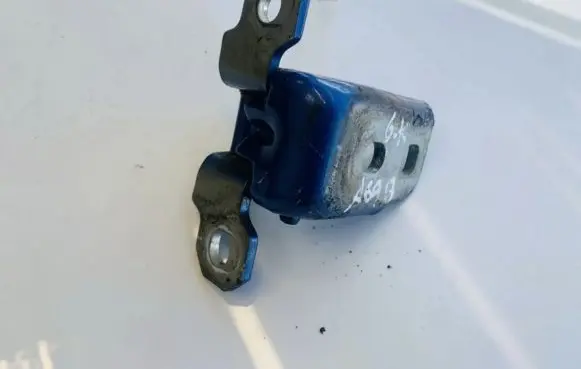 Renault Laguna III Rear door lower hinge