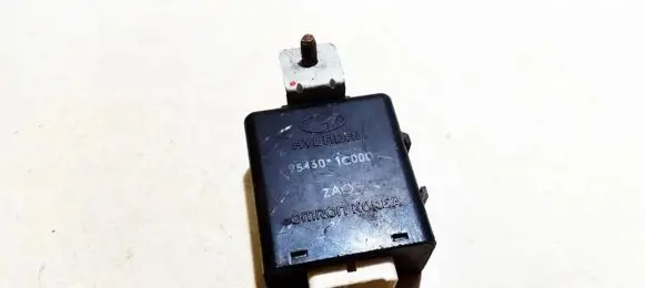 Hyundai Getz Other control units/modules 954301c000