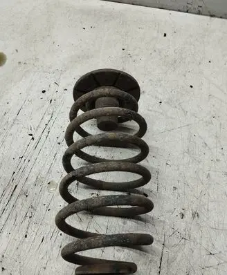 Opel Astra G Rear coil spring