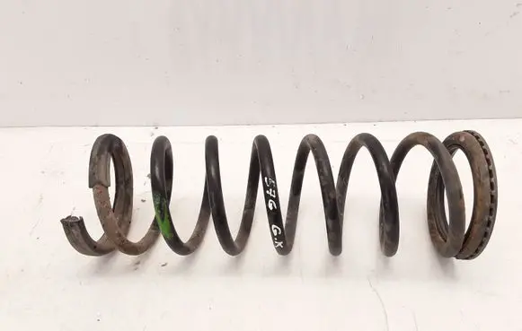 Rear coil spring