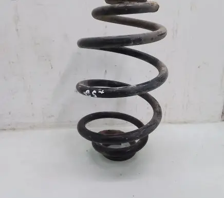 Volkswagen PASSAT B5.5 Rear coil spring