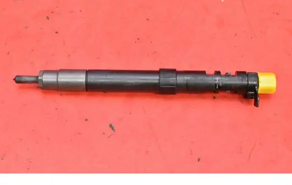 Citroen C5 Fuel injector 9686191080