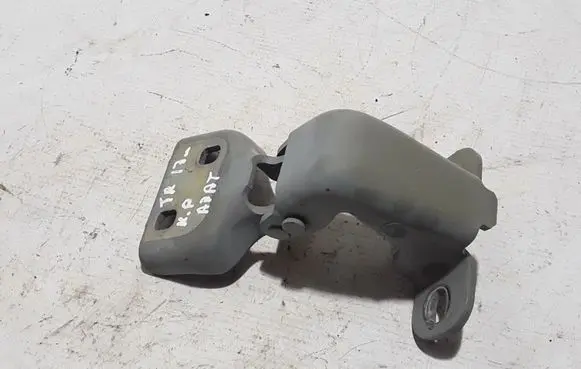Renault Trafic III (X82) Front door lower hinge 804005400R