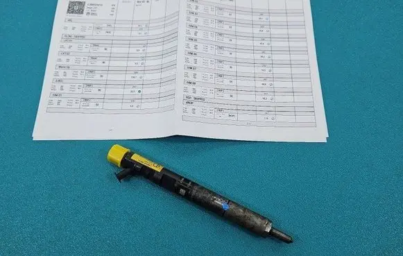 Hyundai Terracan Fuel injector EJBR02901D IMPRK1461144