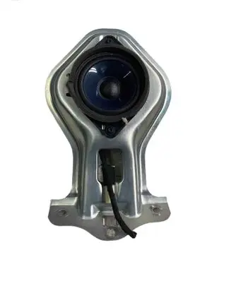 Headliner speaker