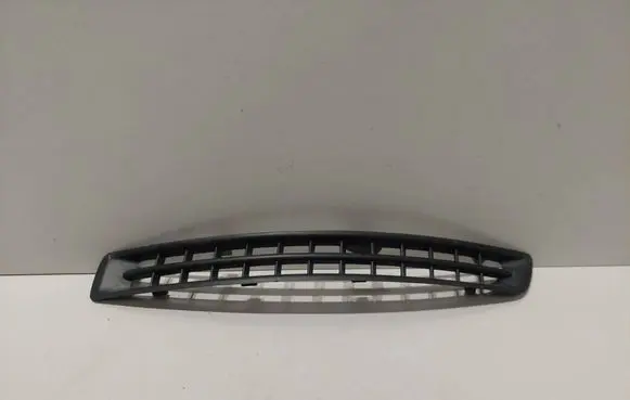 Front bumper lower grill