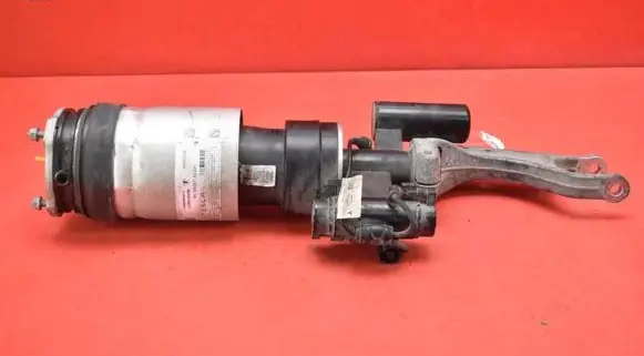 Tesla Model S Front shock absorber/damper 1066366-00-D