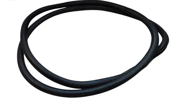 Ford Edge II Front door rubber seal DEK3B W12