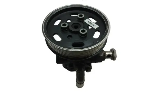 Volkswagen Golf IV Power steering pump 038145255B