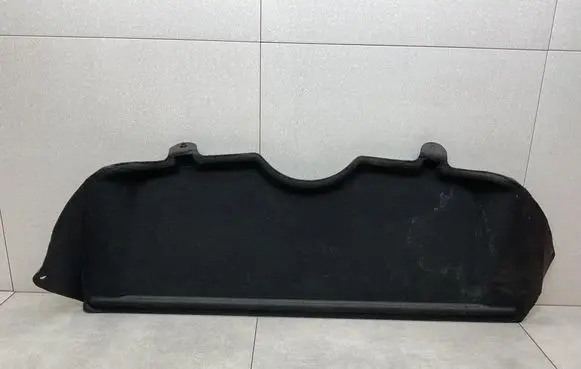 Nissan Juke I F15 Parcel shelf 