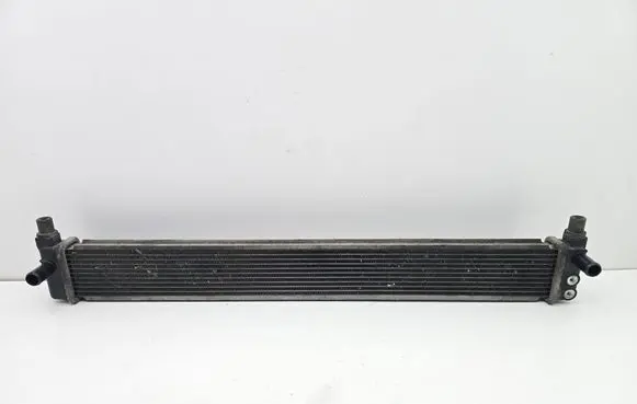 Toyota Prius (XW30) Coolant radiator 
