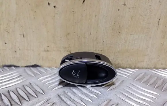 Tailgate opening switch