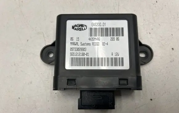 Citroen Xsara Picasso Other control units/modules 09733029903 EAS20001