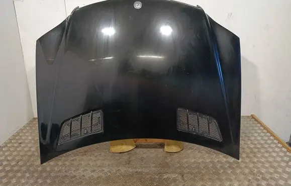 Engine bonnet/hood