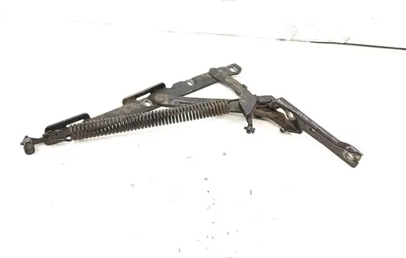 Mercedes-Benz S W220 Tailgate/trunk/boot hinge 2207500887