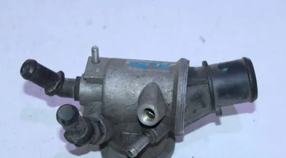 Thermostat/thermostat housing