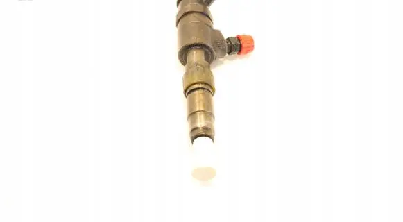 Peugeot Partner Fuel injector 0445110340