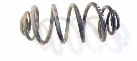 Rear coil spring