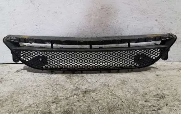 Mercedes-Benz E AMG W213 Front bumper lower grill A2138856900