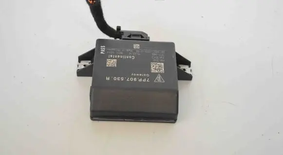 Porsche Cayenne (92A) Gateway control module 7PP907530R
